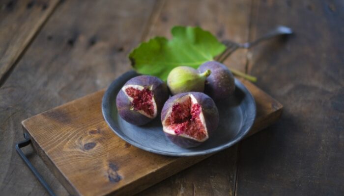 イチジクの挿し木の時期