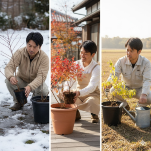 ブルーベリーの植え替えの時期