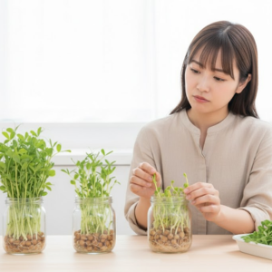 豆苗育て方 繰り返し