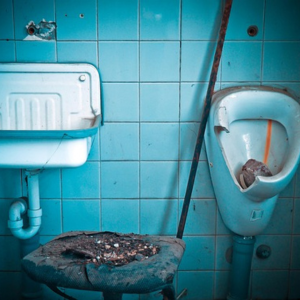 トイレ 観葉植物 良くない