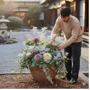 12月に植える花