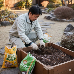 12月に植える花