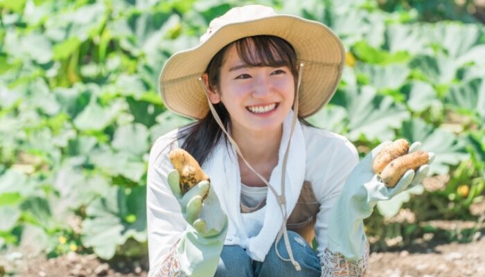 じゃがいも 肥料 いらない