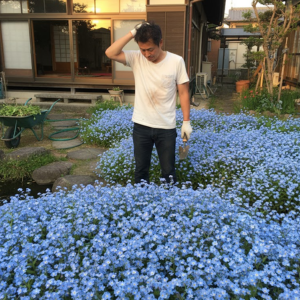 勿忘草 庭に植えてはいけない