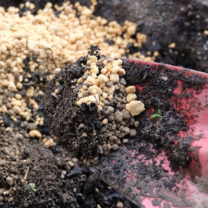 観葉植物の土 配合