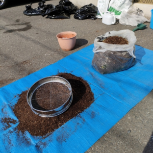 観葉植物の土 配合