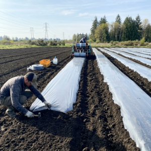 ジャガイモ 植え付け 深さ