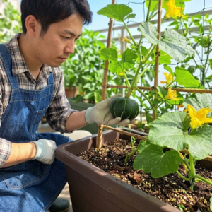 カボチャの育て方 プランター