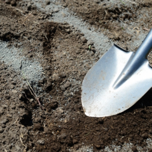 落花生の肥料は何がいい
