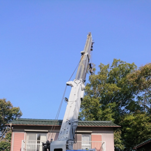 自宅の木の伐採費用